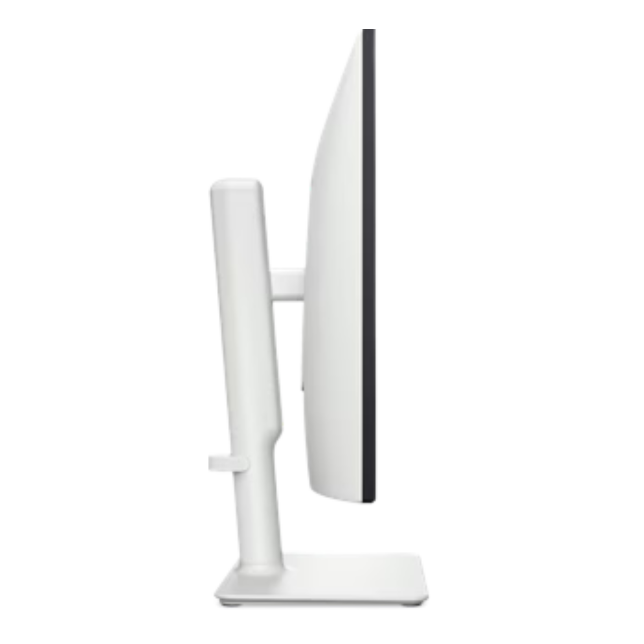 Dell P2425H 23.8" FHD Monitor (Adjustable Stand, Black)