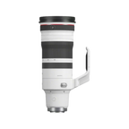Canon RF 100-300mm f/2.8L IS USM Lens