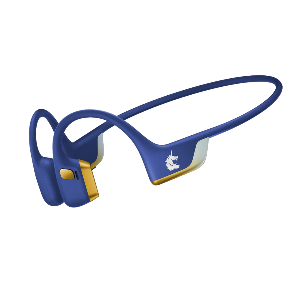 Shokz OpenRun Pro 2 (Hybrid Bone/Air Conduction) Performance Price in Kenya – KES 23,000.00