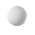 Amazon Echo Dot (newest model)