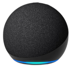Amazon Echo Dot (newest model)