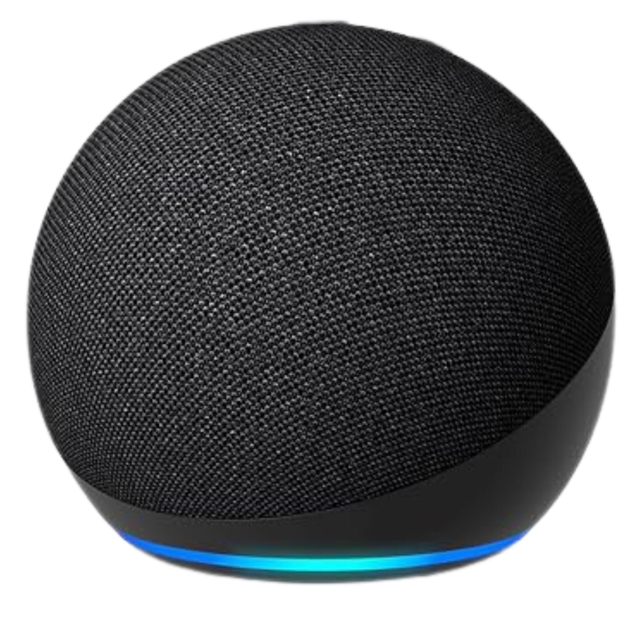 Amazon Echo Dot (newest model)