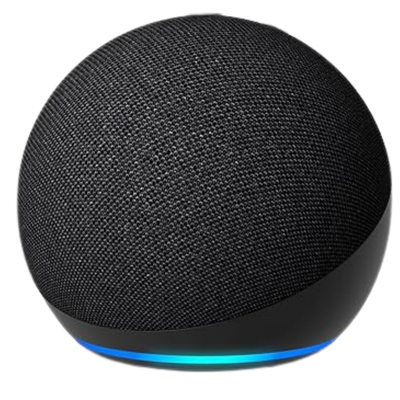 Amazon Echo Dot (newest model)