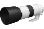 Canon RF 200-800mm f/6.3-9 IS USM Lens
