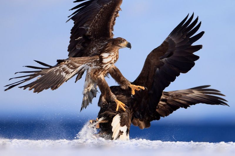 Canon RF 400mm f/2.8L IS USM Lens Price in Kenya – KES 1,690,000.00